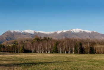 Otago Mountain Retreat - CV Interiors